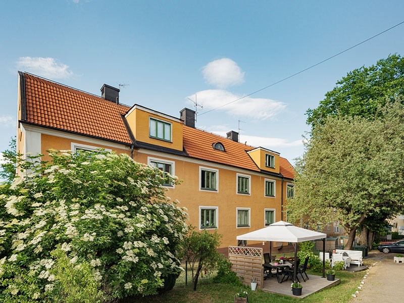 Vad vi gör